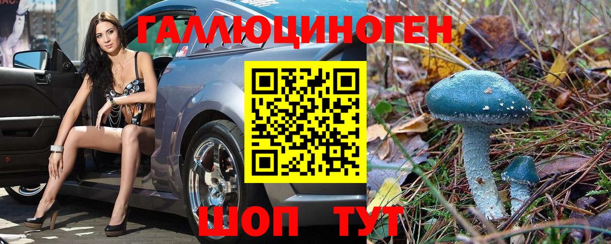 Псилоцибиновые грибы GOLDEN TEACHER Наро-Фоминск